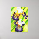 Search for iris flowers canvas prints Botanical