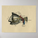 Search for teeth face posters Dental