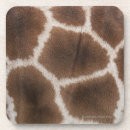 Search for giraffe coasters Horizontal