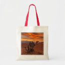 Search for egypt bags Camel