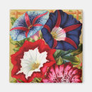 Search for glory magnets Morning glories