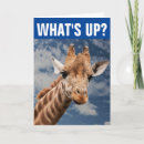 Search for funny giraffe sayings Animal