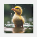 Search for raining magnets Cute