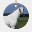 Search for appaloosa horse christmas tree decorations Bob langrish