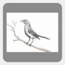 Search for mockingbird stickers Texas