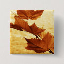 Search for maple leaves badges Brown