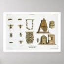 Search for 1868 art Fine