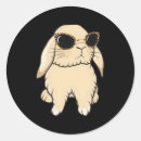 Search for lops stickers Holland lop rabbit