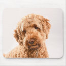 Search for mixes mousepads Cute
