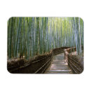 Search for bamboo forest Kyoto