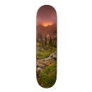 Search for motion skateboards Nature