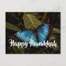 Search for morpho cards Insect