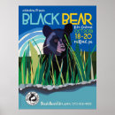 Search for bears posters Black bear
