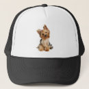 Search for yorkie hats Pet