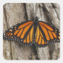 Search for monarch stickers Animal