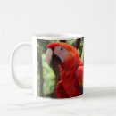 Search for red feather mugs Exotic