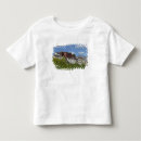 Search for hilltop tshirts Green