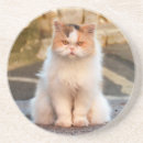 Search for pet photo coasters Create your own