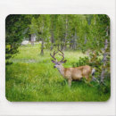Search for buck mousepads Deer