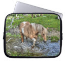 Search for new year laptop cases Palomino paint horse