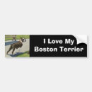 Search for tee shirts bumper stickers Dog