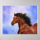 Search for andalusian horse Galloping