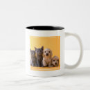 Search for russian blue mugs Baby animals