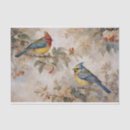 Search for bird tissue paper Colourful birds