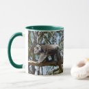 Search for big bear mugs Koala