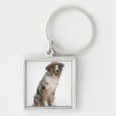 Search for australian shepherd key rings Dog