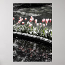 Search for reflecting pool posters Serene