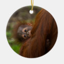 Search for ape christmas tree decorations Cute