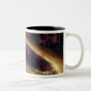 Search for debris mugs Universe