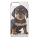 Search for dachshund picture electronics Animals