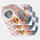 Search for tentacles wrapping paper Marine life