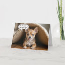 Search for chihuahua birthday cards Canine