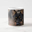 Search for shepherd puppy mugs Pet