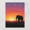 Search for botswana travel postcards Nature