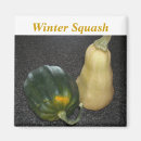 Search for squash magnets Vegetable