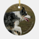Search for dog run christmas tree decorations Collie border