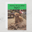 Search for golden retriever christmas cards Dog