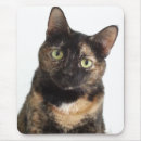 Search for tortoiseshell mousepads Tortie