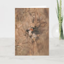 Search for birdwatchers cards Birder