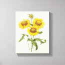 Search for redoute canvas prints Flowers
