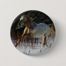 Search for appaloosa badges Horse