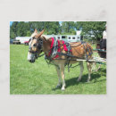 Search for pulling postcards Cart