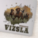 Search for vizsla dog stickers Hunting