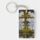Search for saddle key rings Nature
