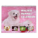 Search for maltese calendars Pets