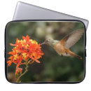 Search for hummingbird electronics Beautiful